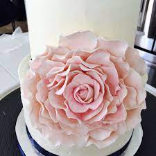 Flowers have formed part of our diet for thousands of years. Blush Pink Edible Sugar Flower Large Pink Gum Paste Flower Edible Flower Made By Bella Baby Cakes Cake Baby Cake Gum Paste Flowers