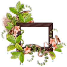 Misura 10 x 12,5 cm. Telaio Cornice Per Foto Primavera Immagini Gratis Su Pixabay