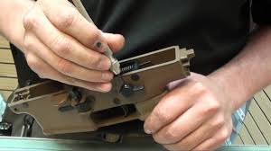 Image result for svrab na k%u016F%u017Ei