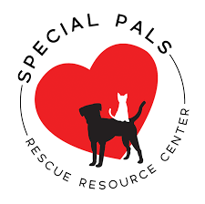 Houston cat club charity cat show, inc a 501c3 organization. Special Pals Rescue Resource Center Animal Rescue Boarding Adoption