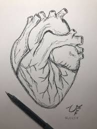 Menschliches Herz Zeichnen Easydrawing Easydrawi Easydrawi Easydrawing In 2020 Human Heart Drawing Heart Drawing Pencil Art Drawings