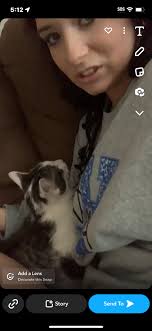 Missing Mother and Son Cats in Paducah Midtown Neighborhood