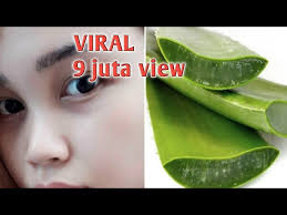 Itu turun temurun dari zaman aku adik beradik kot. Memutihkan Wajah Dengan Lidah Buaya Youtube
