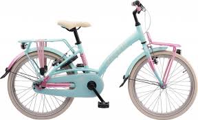 1 inch is equal to 1/12 feet Loekie Prinses 20 Inch 2020 Meisjes Fietsvoordeelshop Nl