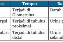 Memberikan tenaga dan waktu dengan ikhlas untuk kepentingan bersama. All Posts Kosingkat
