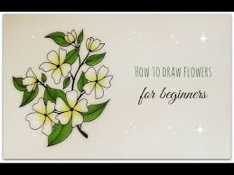 Drawing Jasmine Flower Drawing Easy For Kids