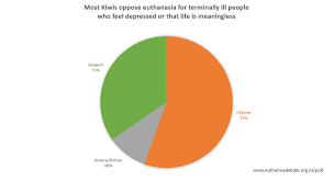 New Poll Shows Less Support For Euthanasia Euthanasia Debate Nz On The End Of Life Choice Act Referendum 2020