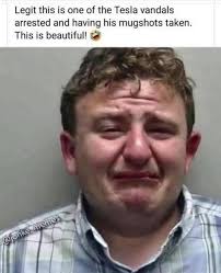 Legit this is one of the Tesla vandals arrested and having his mugshots  taken. This is beautiful! @/britesiypimes @jonke_memes memes @