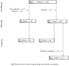 Jcm Free Full Text The Influence Of Maternal Foetal