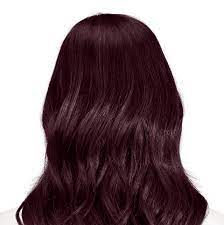 Volterra Amethyst Hair Dye Permanent Hair Color Brunette Hair Color Hair Color Dark Violet Black Hair