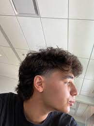 Mar 01, 2021 · the modern mullet is characterized by two things, a long mullet (i.e. Lol This Is My Mullet Dyed Hair Men Men Haircut Curly Hair Curly Hair Men