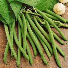 Plant in 2 to 3 weeks intervals for a steady harvest until about 3 months before first killing frost in the fall. Kentucky Wonder Bush Bean Seeds Kentucky Wonder Beans
