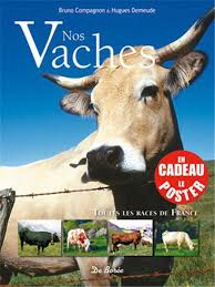C'est la femelle du taureau. Nos Vaches Toutes Les Races De France Bruno Compagnon Hugues Demeude De Boree Grand Format Les Mots Les Choses Boulogne Billancourt