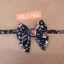 The many options available means that you can choose the color and pattern that most match their feline friend's personality. Pin On Cat Bow Tie Collar
