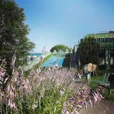 Maybe you would like to learn more about one of these? Photos At Ogrod Botaniczny Buw Garden In Powisle