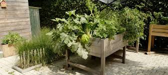 Vestaculture Cree Des Magnifiques Potagers Dans Le Respect Des Principes De La Permaculture Dans Des Bacs Specialement Concus A Cet Effet
