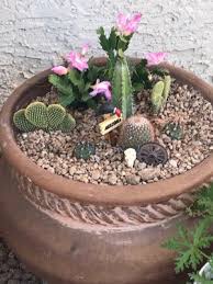 Get directions, reviews and information for b & b apache cactus in apache junction, az. B B Apache Cactus 2324 S Idaho Rd Apache Junction Az Cacti Mapquest