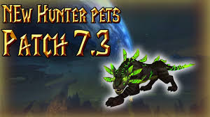 I use these pets for pvp, but they can be useful in groups. New Hunter Pets In 7 3 Panthara And More World Of Warcraft Legion Youtube
