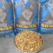 norma suhogo korma dlya shenkov 17 foto osobennosti kormleniya skolko grammov nuzhno davat v den kak pravilno rasschitat normu po tablice