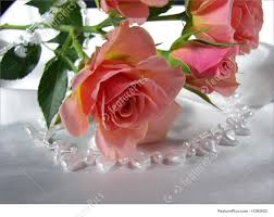 Are you searching for hearts png images or vector? Flowers Hearts And Roses Stock Picture I1295652 At Featurepics