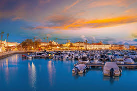 Image result for Faroa pusilla