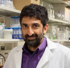 The Hartwell Foundation