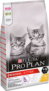 Pro Plan Junior Optistart Tavuklu Ve Pirincli 3 Kg Yavru Kuru Kedi Mamasi Fiyatlari Ozellikleri Ve Yorumlari En Ucuzu Akakce