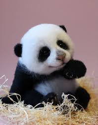 Adorable Little Animals That I Make From Wool Cute Baby Animals Cute Animals Baby Animals