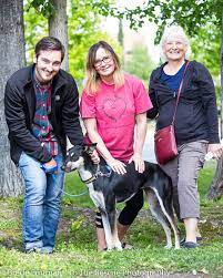 Pet backpack carrier (anc > anchorage). Pets For Adoption At Alaska Animal Rescue Friends Aarf In Anchorage Ak Petfinder