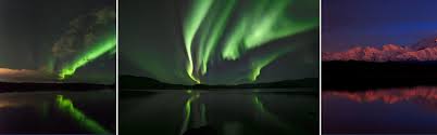 We did not find results for: The Best Time To See The Northern Lights On An Alaska Cruise Carnival