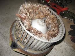 This results in the dirty sock like odor you smell when you first start your car and turn on your air conditioner. Car Smells What S Causing It And How To Fix It