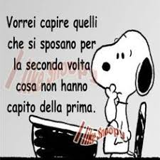 Https Www Google It Blank Html Citazioni Divertenti Citazioni Umoristiche Citazioni Spiritose