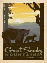 Araucaria araucana is the hardiest species in the conifer genus araucaria. Great Smoke Mountains Smoky Mountains Art National Park Posters Mountain Art Print