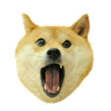 Roblox hat ids is a list of id codes of roblox hat. Doge Roblox