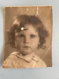 Photographing nature's beauty in my neighborhood