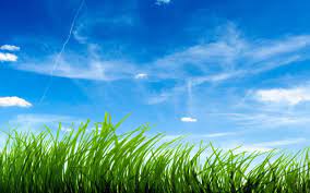 Grass Wallpaper Zone Wallpaper Backgrounds Landscape Wallpaper Best Home Screen Wallpaper Wallpaper Backgrounds