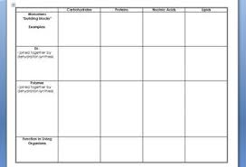 macromolecules review chart with answers