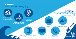 • take your emergency preparedness kit. Tsunami Infographics