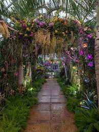 The Orchid Show Displays In The Tropical Greenhouse Chicago Botanic Gardens Orchid Show Tropical Greenhouses Chicago Botanic Garden