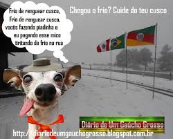 Então, fizemos uma seleção com frases de frio engraçadas para você compartilhar com seus amigos naqueles dias que precisa de muita coragem para sair debaixo do cobertor. Diario De Um Gaucho Grosso Frio De Renguear Cusco Gaucho Piadas Cusco