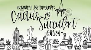 Based on other answers, there was a photo of the problem attached to the question which no longer exists. Line Drawing Cactus Succulent Edition Peggy Dean Skillshare