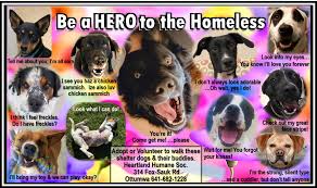 At the ottumwa police department, monday through friday. Save Ottumwa Strays Facebook