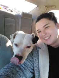 Lost dogs in Saint Joe, Arkansas, need help finding them