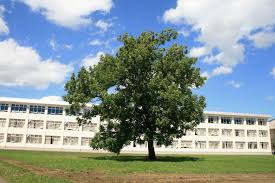 ホーム | 青雲同窓会