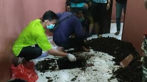 Dugaan pun merebak kalau orang yang menelepon orang tua shinya mungkin memiliki kaitan dengan hilangnya shinya. Jasad Manusia Terkubur Dalam Kontrakan Di Sawangan Sempat Ada Laporan Orang Hilang Tribun Jakarta