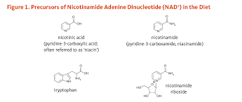 Niacin Linus Pauling Institute Oregon State University