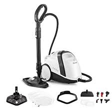 Vaporetto anti punaise de lit. Polti Der Beste Preis Amazon In Savemoney Es