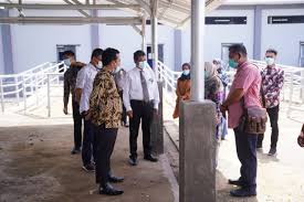 Rancangan pengajaran tahunan matematik tahun 1 (kurikulum standard sekolah rendah). Segera Diresmikan Wagub Sulsel Tinjau Rumah Potong Hewan Publikasi Online