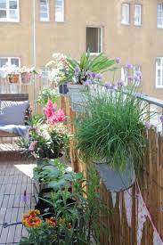Kübel und balkonkästen herbstlich bepflanzen. Bienenweide Auf Dem Balkon Anlegen Garten Fraulein
