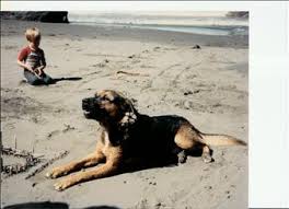 Aaron Binnie Obituary (2010)